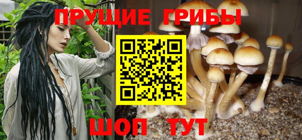 Псилоцибиновые грибы MAGIC MUSHROOMS  Псилоцибиновые грибы Psilocybine cubensis  Вход с VPN  Владикавказ 