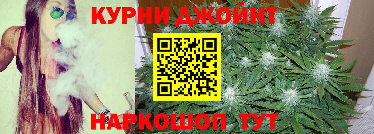 Марихуана сатива Владикавказ